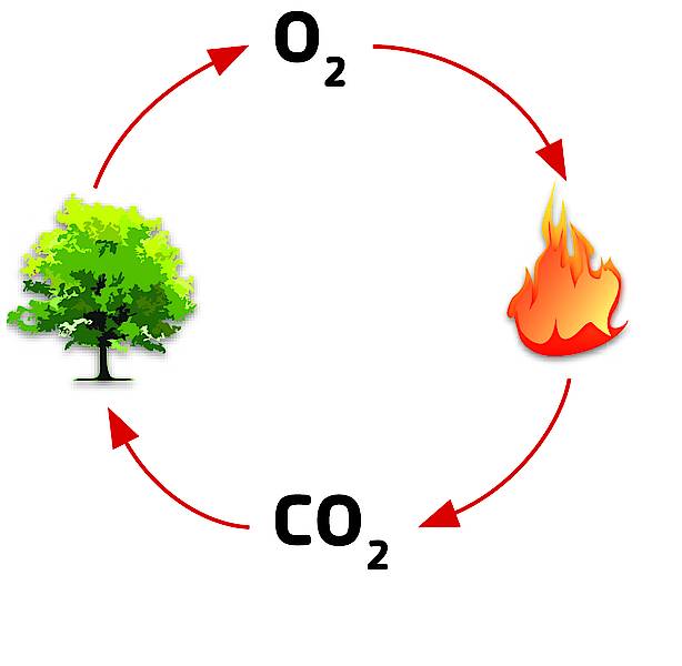 Why is the combustion of wood pellets eco-friendly?